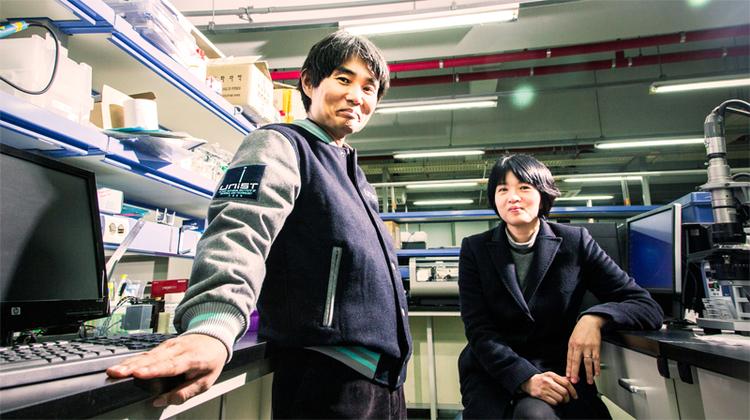 UNIST to Engineer Biomarkers for Depression and Suicidality