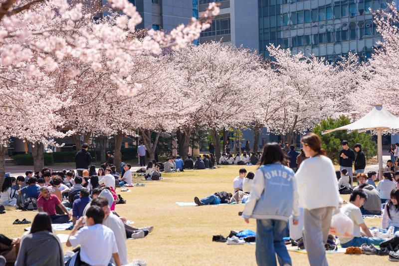 UNIST Holds Second 『UNI-Blossom Week,』 Promoting Integrity through Springtime Engagement