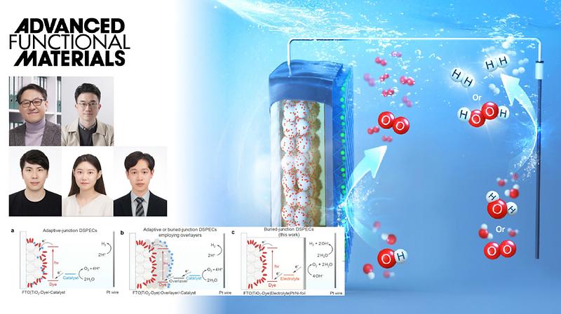 New Study Unveils High-Performance Dye-Sensitized Electrode for Artificial Photosynthesis