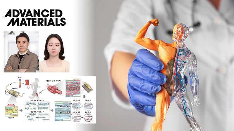 Novel Blood-Based Graft Enables Simultaneous Muscle and Blood Vessel Regeneration